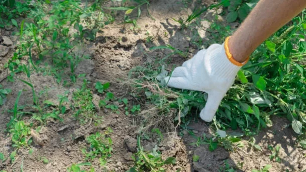 groundwater