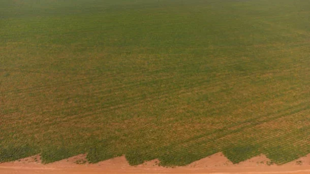 climate impact