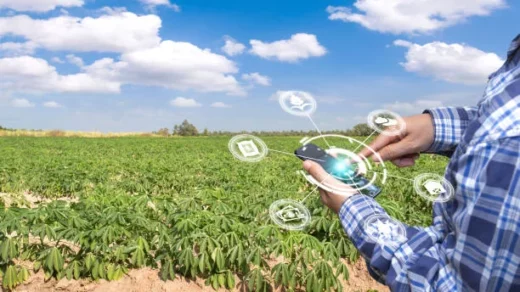 climate-smart agriculture