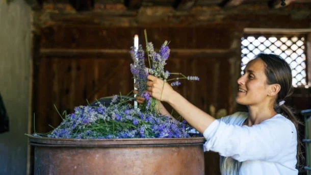 aromatic plants