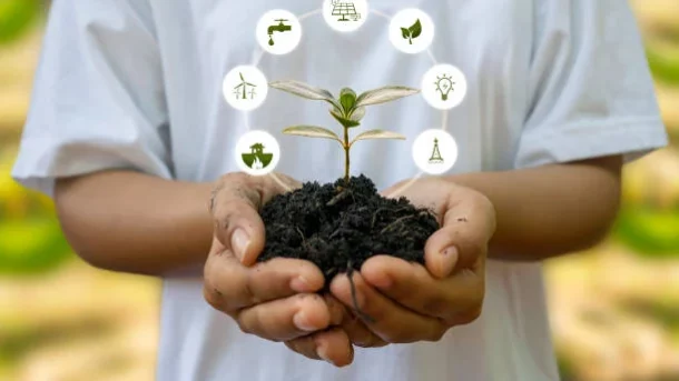 sustainable agriculture