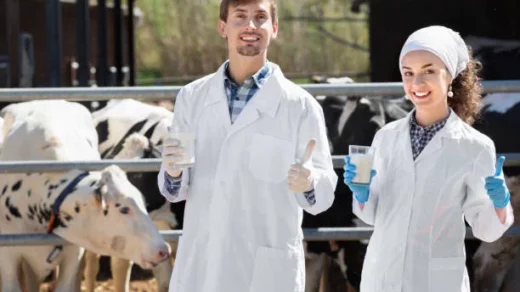 dairy units