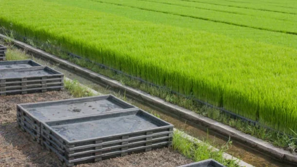 farming systems