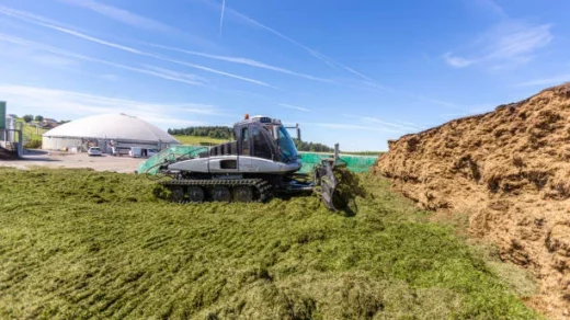 biofertilizers and biopesticides