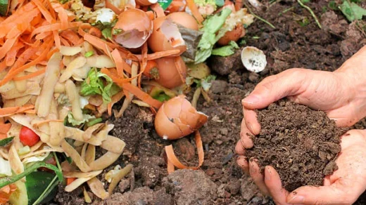 biofertilizers