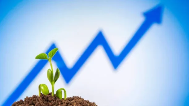 financialization