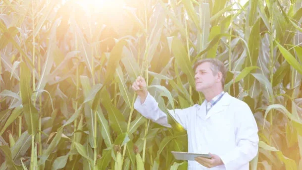 genetic engineering