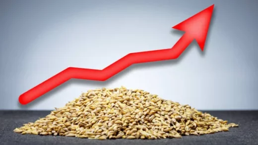 agribusinesses