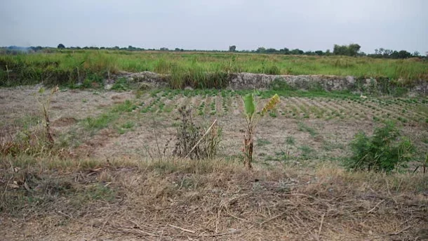 small landholdings