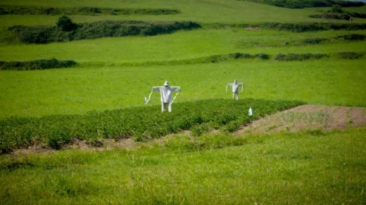 farm inputs