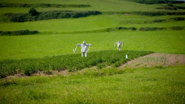 farm inputs