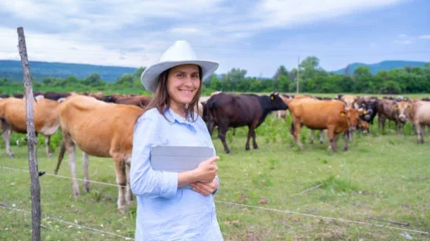 livestock farming