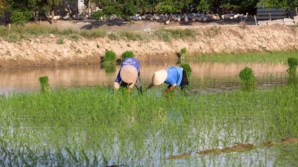 small-scale farmers