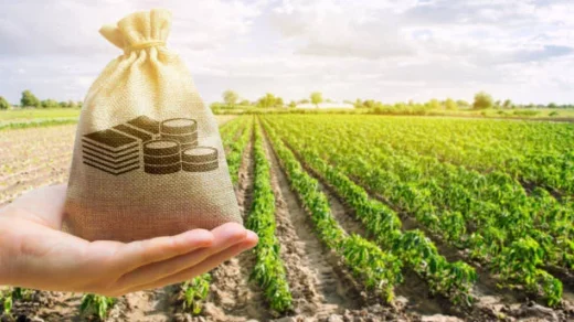 agricultural credit