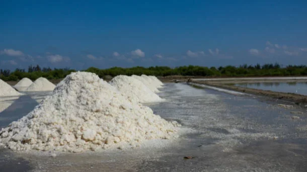 phosphate-solubilizing
