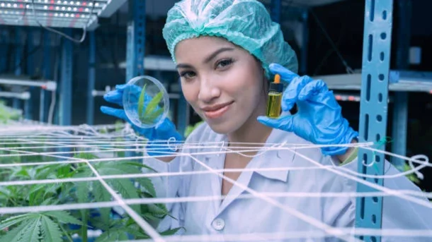 nanotechnology in agriculture
