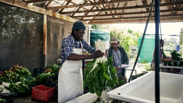 agricultural market