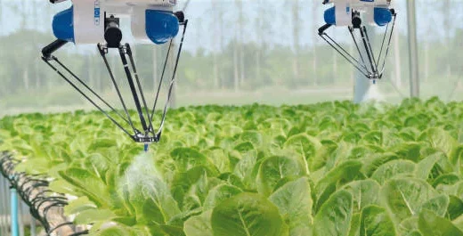 monitor crop health