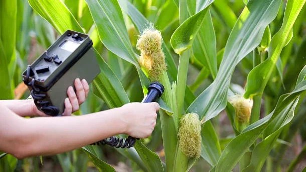 remote sensing