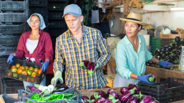 agricultural cooperatives