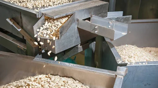 seed processing
