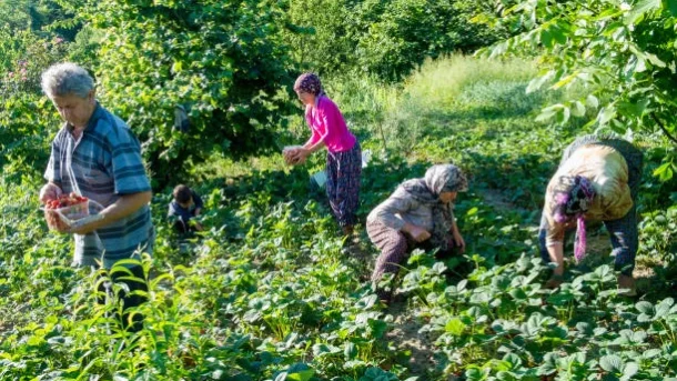 rural communities