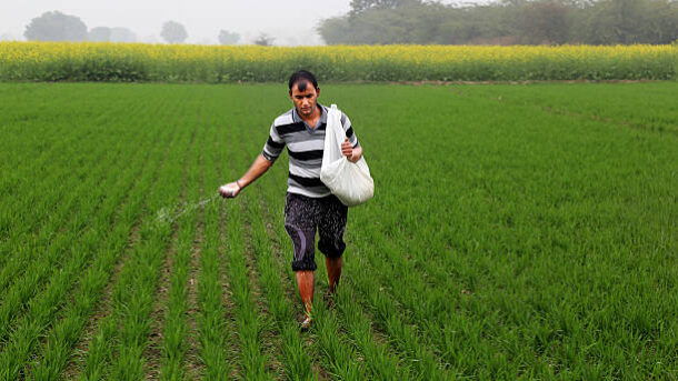 subsidized seeds and fertilizers