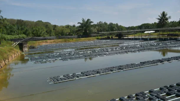 aquaculture practices