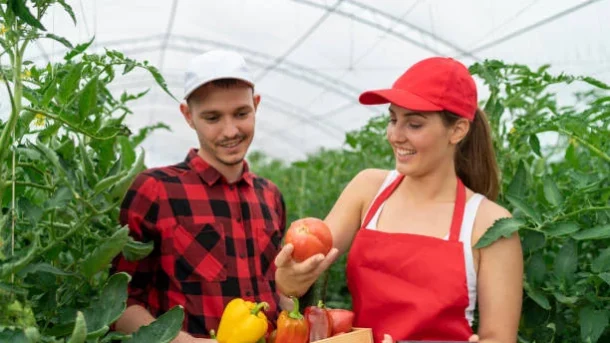 modern agricultural market