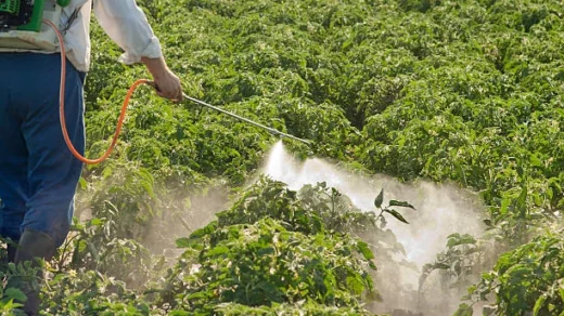 pesticides and herbicides