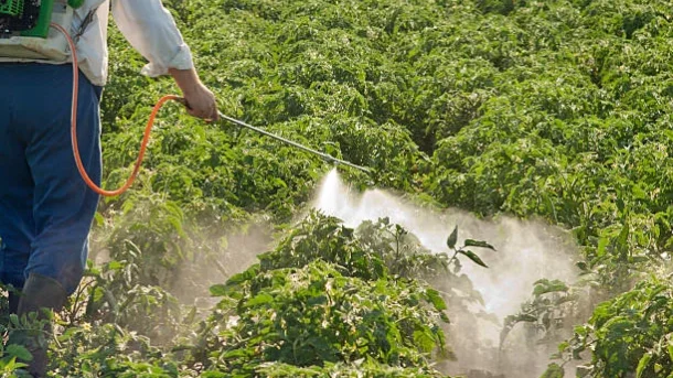 pesticides and herbicides