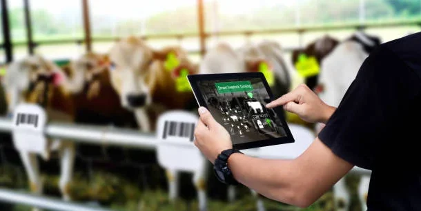 smart sensors