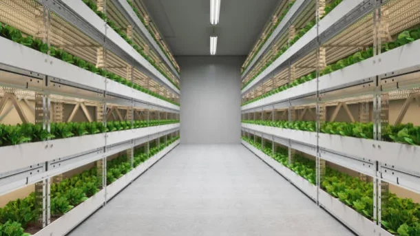 What is vertical farming