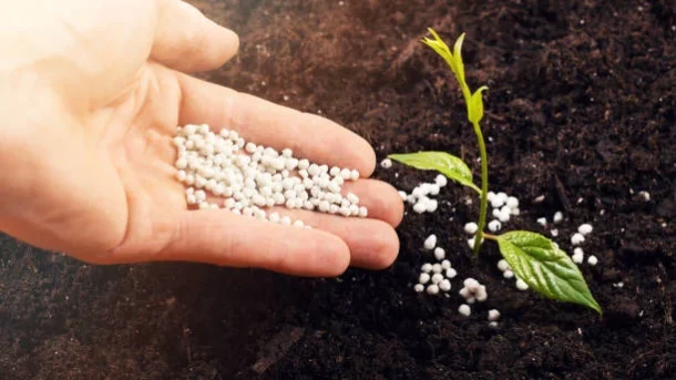 micronutrients